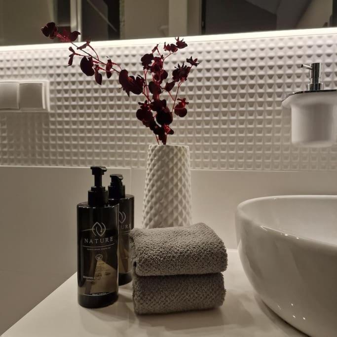 Apartament Nad Struga, Klimatyzacja, Parking,Taras Stary Toruń Kültér fotó